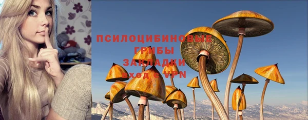 ПСИЛОЦИБИНОВЫЕ ГРИБЫ Алексеевка