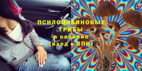 ПСИЛОЦИБИНОВЫЕ ГРИБЫ Алексеевка